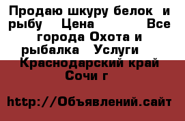 Продаю шкуру белок  и рыбу  › Цена ­ 1 500 - Все города Охота и рыбалка » Услуги   . Краснодарский край,Сочи г.